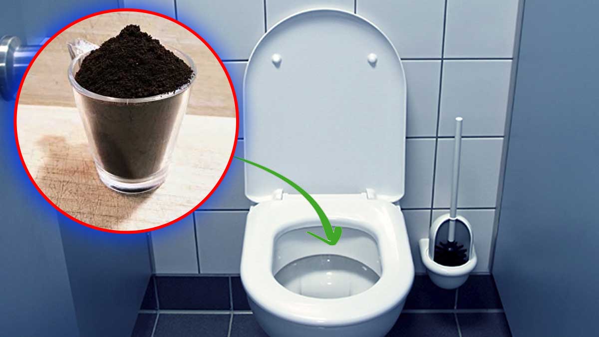 Marc de cafe et toilettes