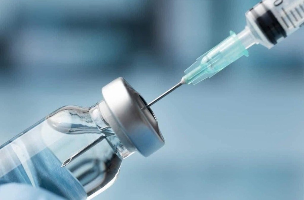 WhatsApp Image 2025 11 09 at 10.10.19