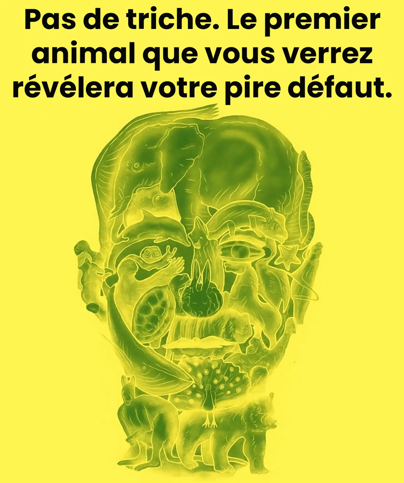 Le test visuel intrigant qui promet de reveler votre plus grand defaut selon le premier animal que vous voyez.jpeg