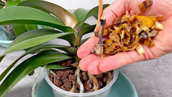 Maxresdefault 2025 10 09T20120