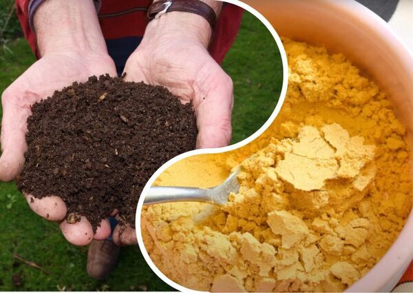 Mycollages 2025 11 07t135146.243