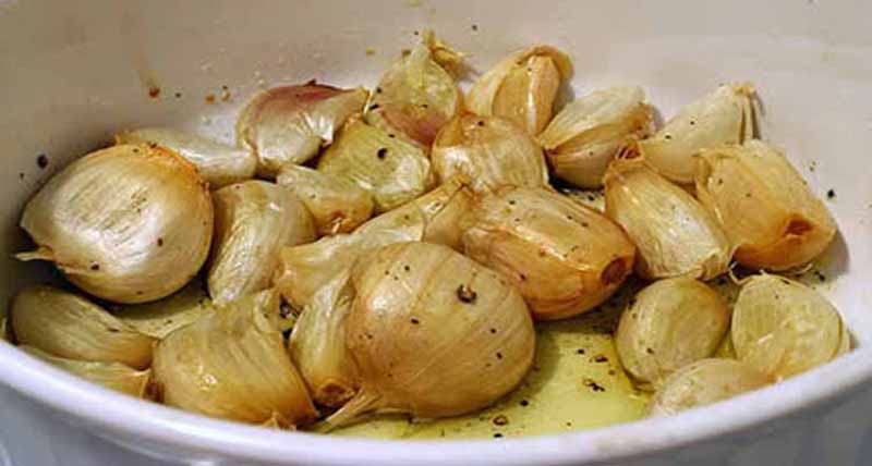 Un antibiotique naturel pour eliminer les bacteries et les infections