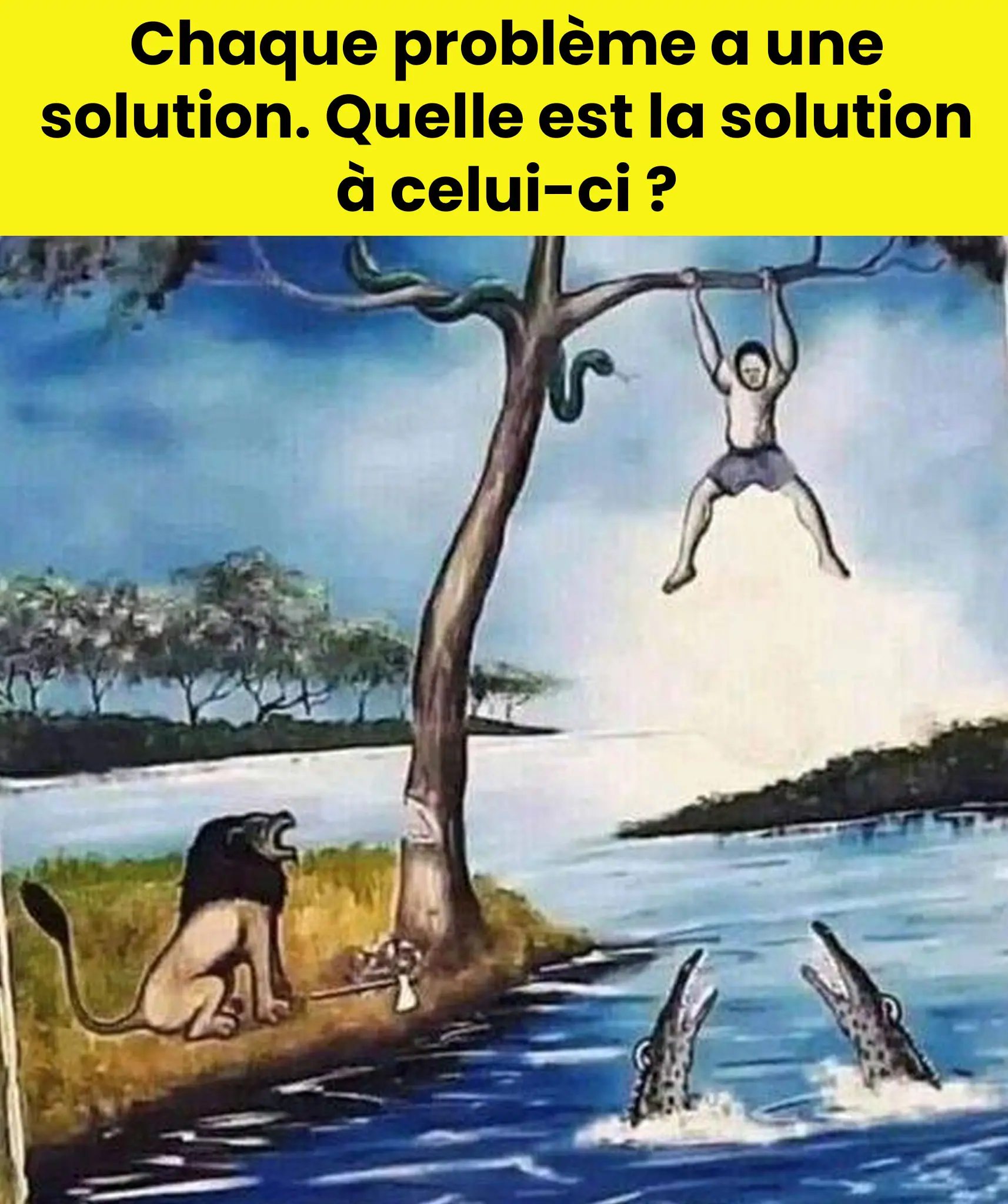 Une enigme visuelle qui a deconcerte internet.jpg