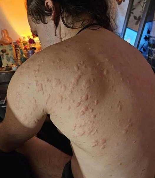 534847188 736720839332020 787249