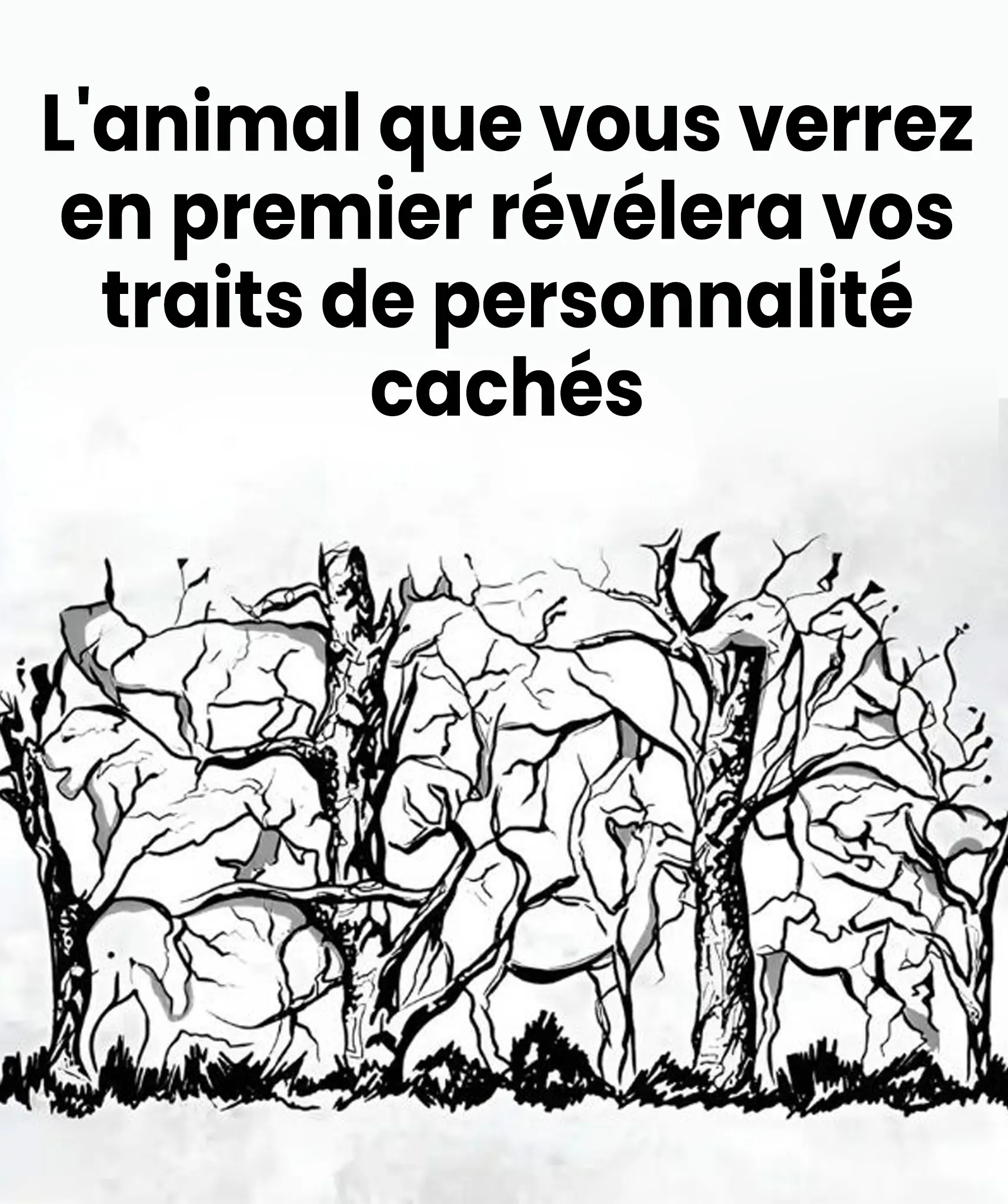 Lanimal que vous verrez en premier revelera vos traits de personnalite.jpg