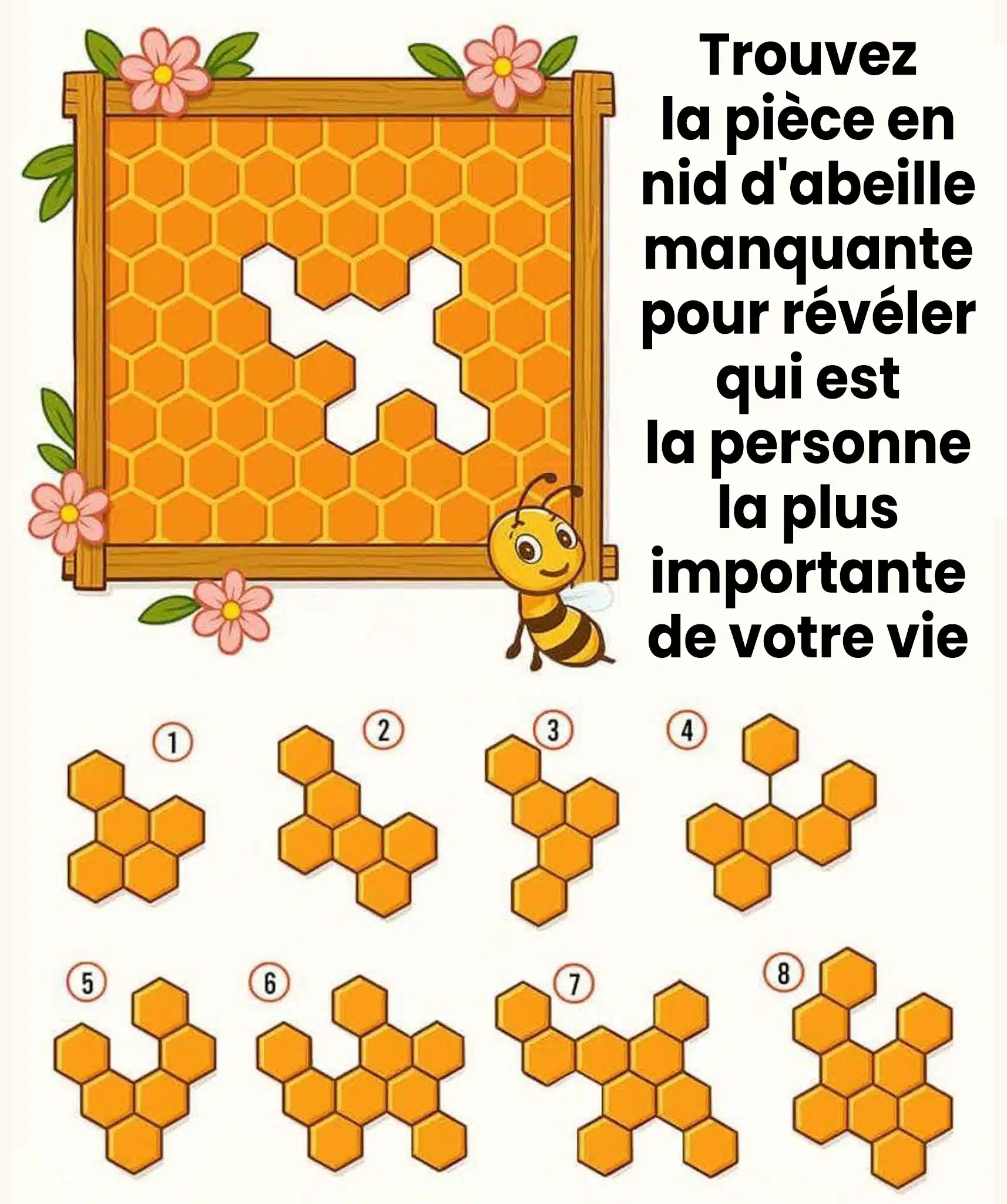 Reperez la piece manquante du motif en nid dabeilles et voyez qui marche a vos cotes.jpg