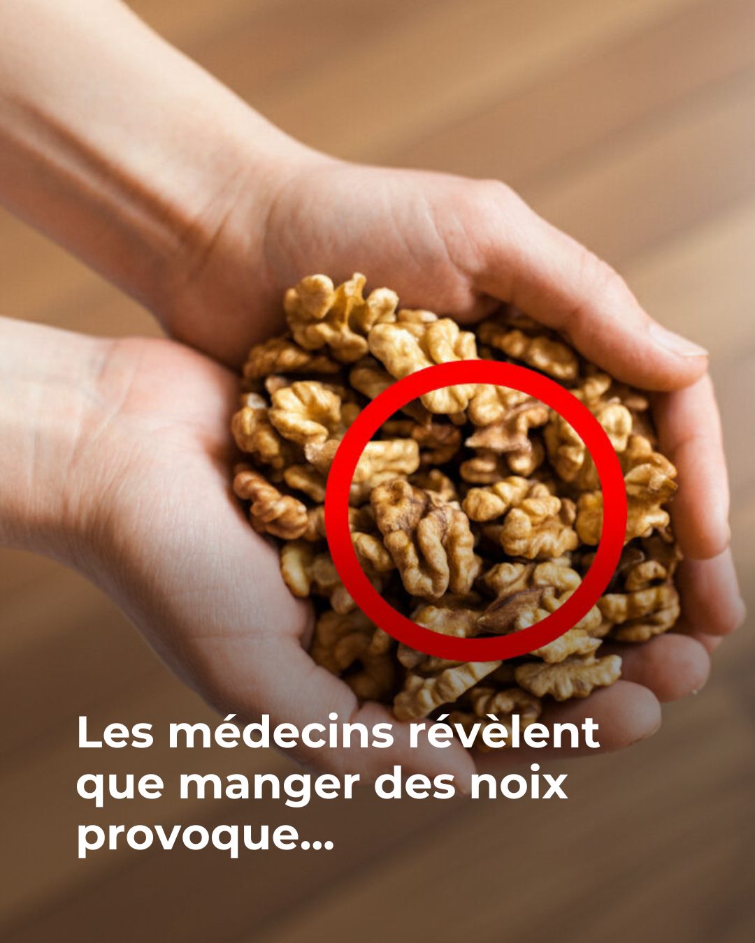 605431141 877371714983932 2505699436626090628 n