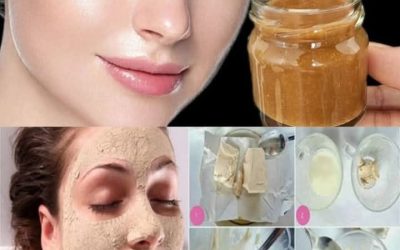 501125688 1266050848268516 6303417572490457392 n