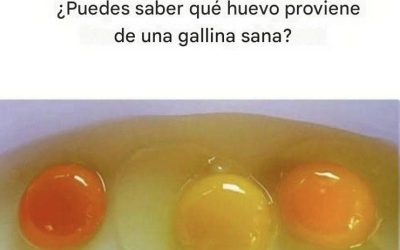 549766463 802148282507957 6709476600031822640 n