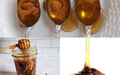 556132774 800631392475012 7280011327740373673 n