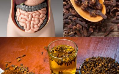 588447138 122285545004211419 3793741119360318183 n