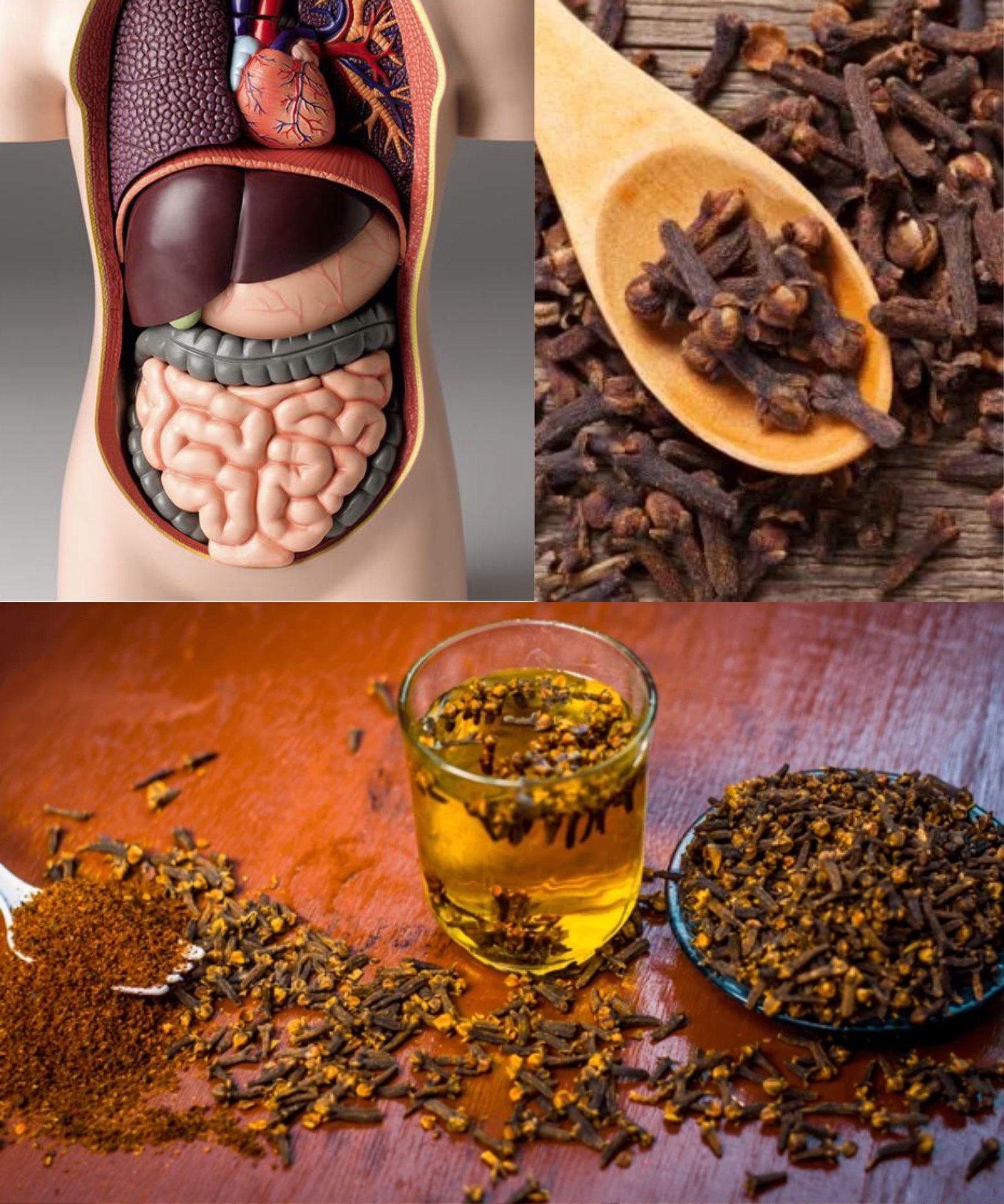 588447138 122285545004211419 3793741119360318183 n