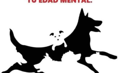 589824531 122219365166279330 4847267062696789271 n