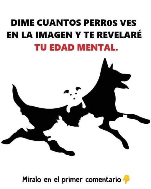 589824531 122219365166279330 4847267062696789271 n