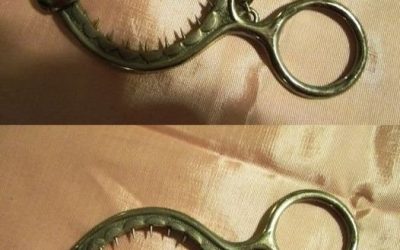 598140122 1419422173079628 1586588425148170155 n