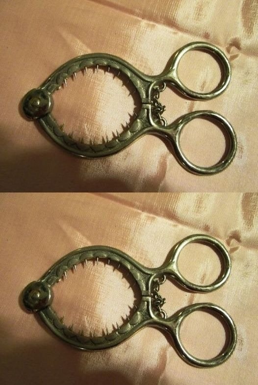 598140122 1419422173079628 1586588425148170155 n