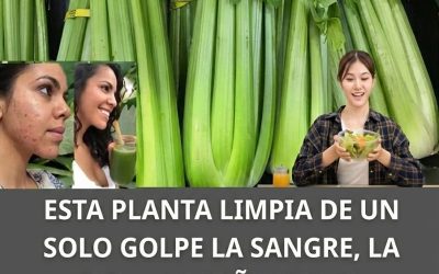 616018458 896828013328840 3709452560678016741 n