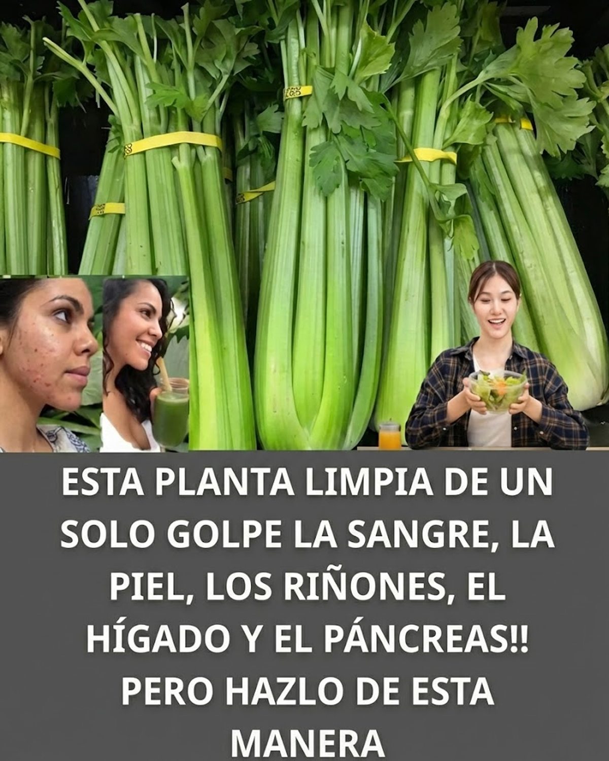 616018458 896828013328840 3709452560678016741 n