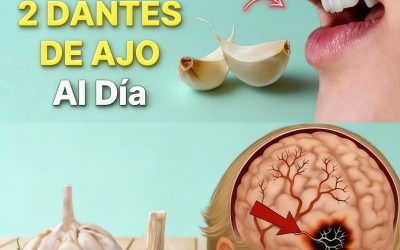 617592187 883975567931976 4313225484729827917 n