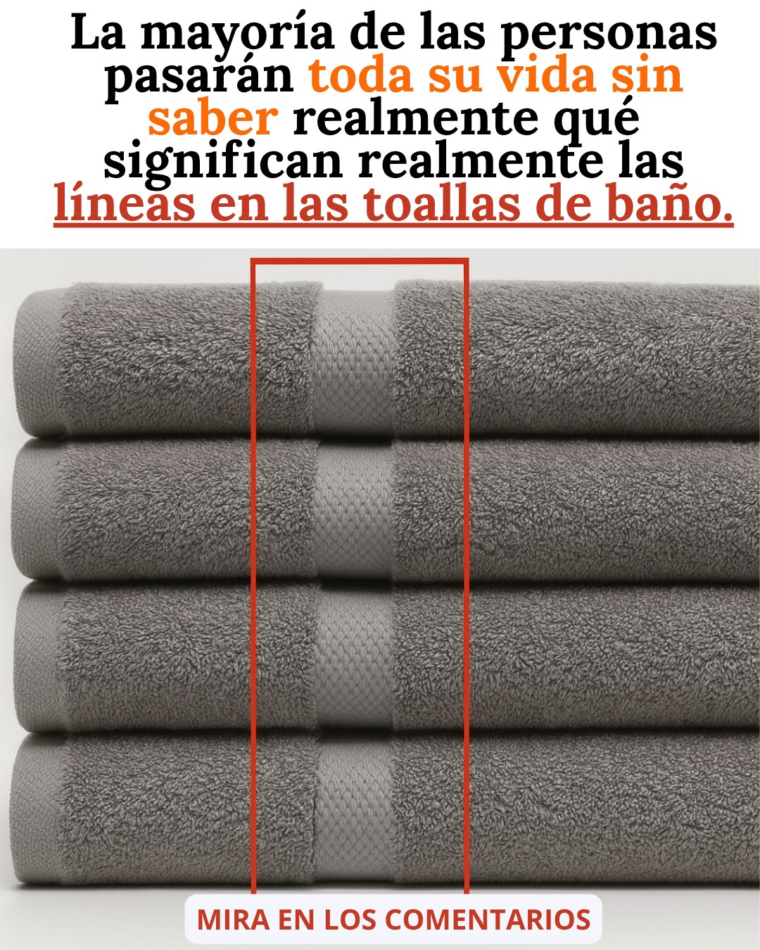 619115248 122201441738362967 5067777670499859266 n