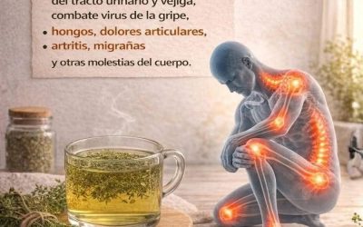 625896581 1406485981523824 4622513465110966312 n