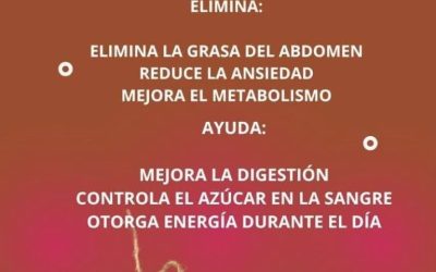 625917838 122202095438293736 3661145717484005081 n 7 768x1152