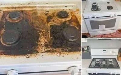 627009523 122177718212424691 7886659846380292297 n