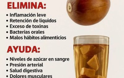 627996980 1444008540512314 7707781805641495188 n