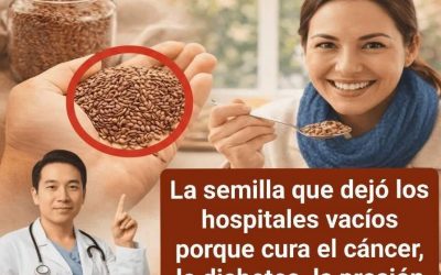 628084074 1470278954664346 1765179980149440079 n