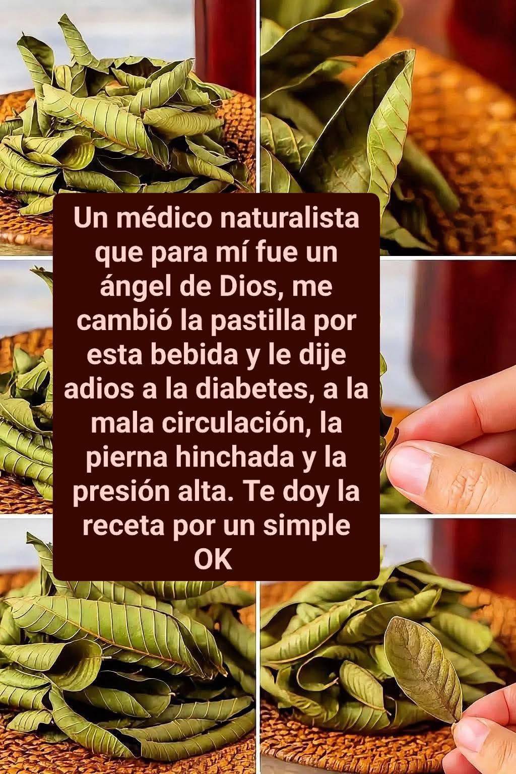 628633488 844172361958326 2150428713582728008 n