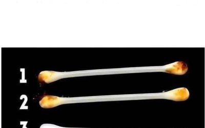 629579546 2367557903679137 8117715376877637821 n