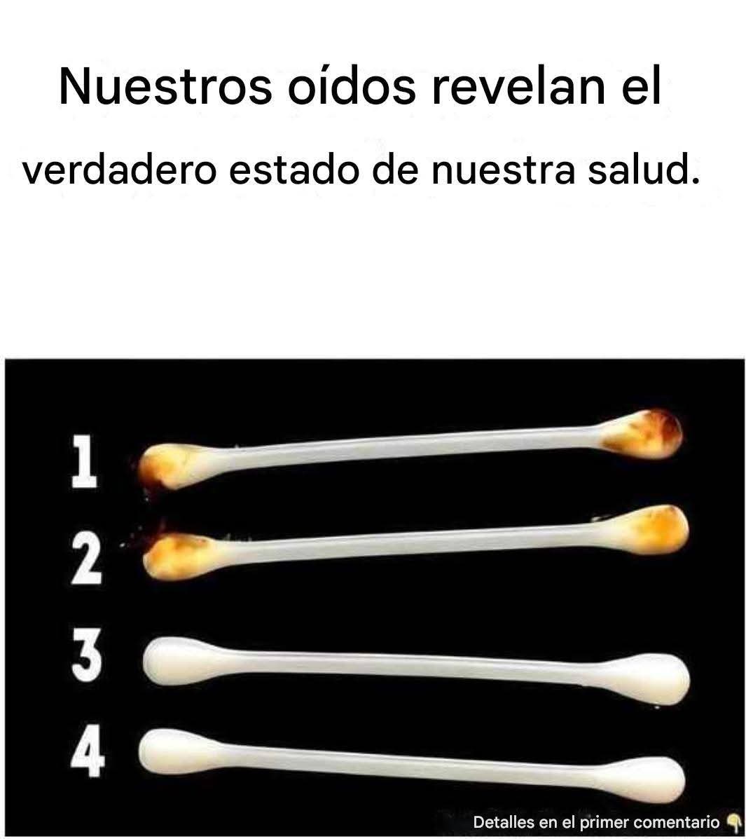 629579546 2367557903679137 8117715376877637821 n