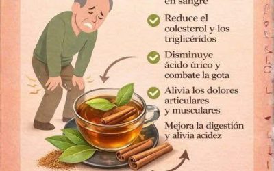 632991687 888392140837720 6640927164801538332 n