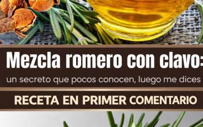 633591676 122114423787160234 8064982176118617418 n