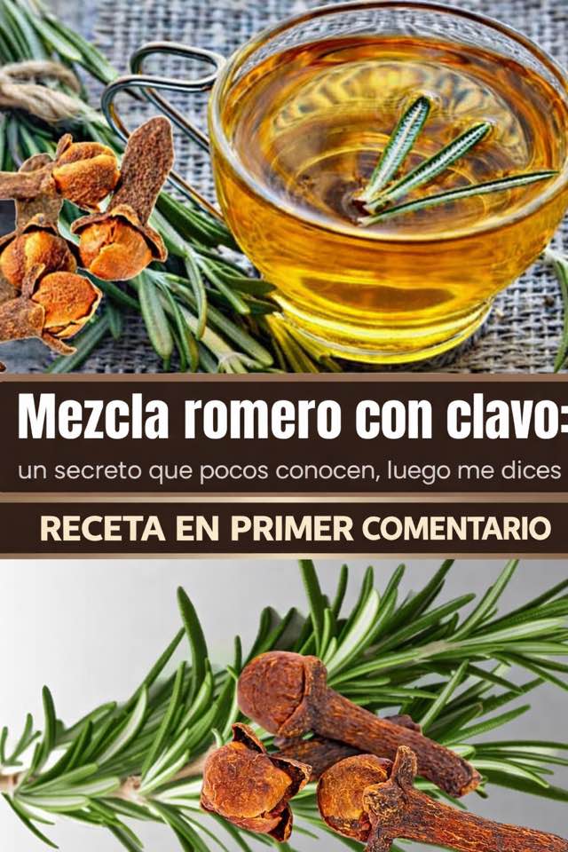 633591676 122114423787160234 8064982176118617418 n