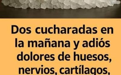 635153766 1979391526335105 5786097491235025406 n