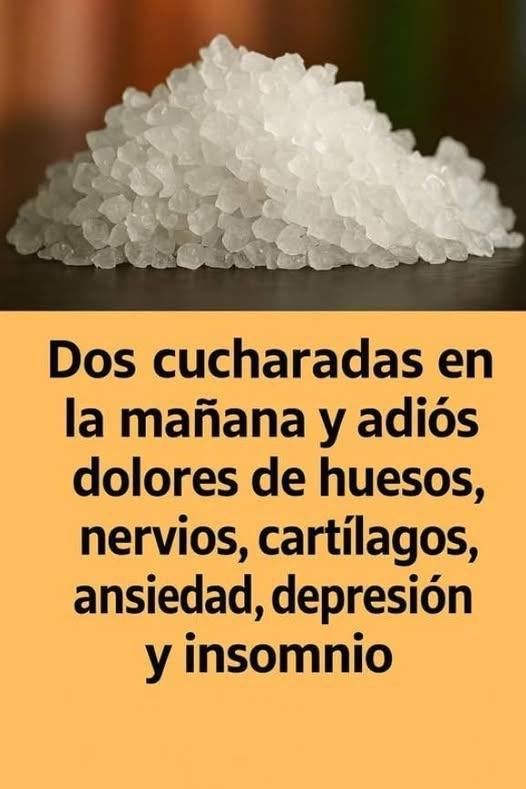 635153766 1979391526335105 5786097491235025406 n