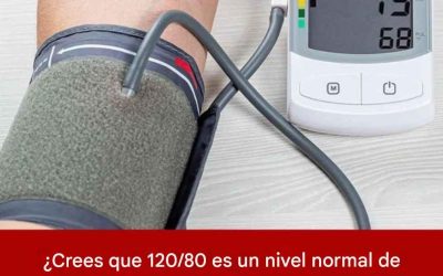 636728325 933903285734986 7948037590014037471 n