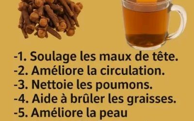 8d683063 6f4b 4ff1 ad24 9cf0c6e1317f