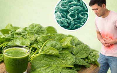 ChatGPT Image 20 ene 2026 11 20 32 p.m 1160x653