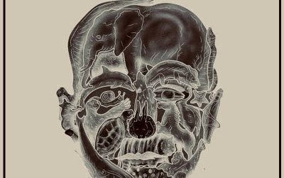 Fe36d9ea 1e57 46fb b221 f8de3beaa5c6