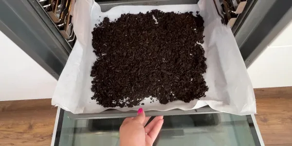 Jak odgrzybic ziemie